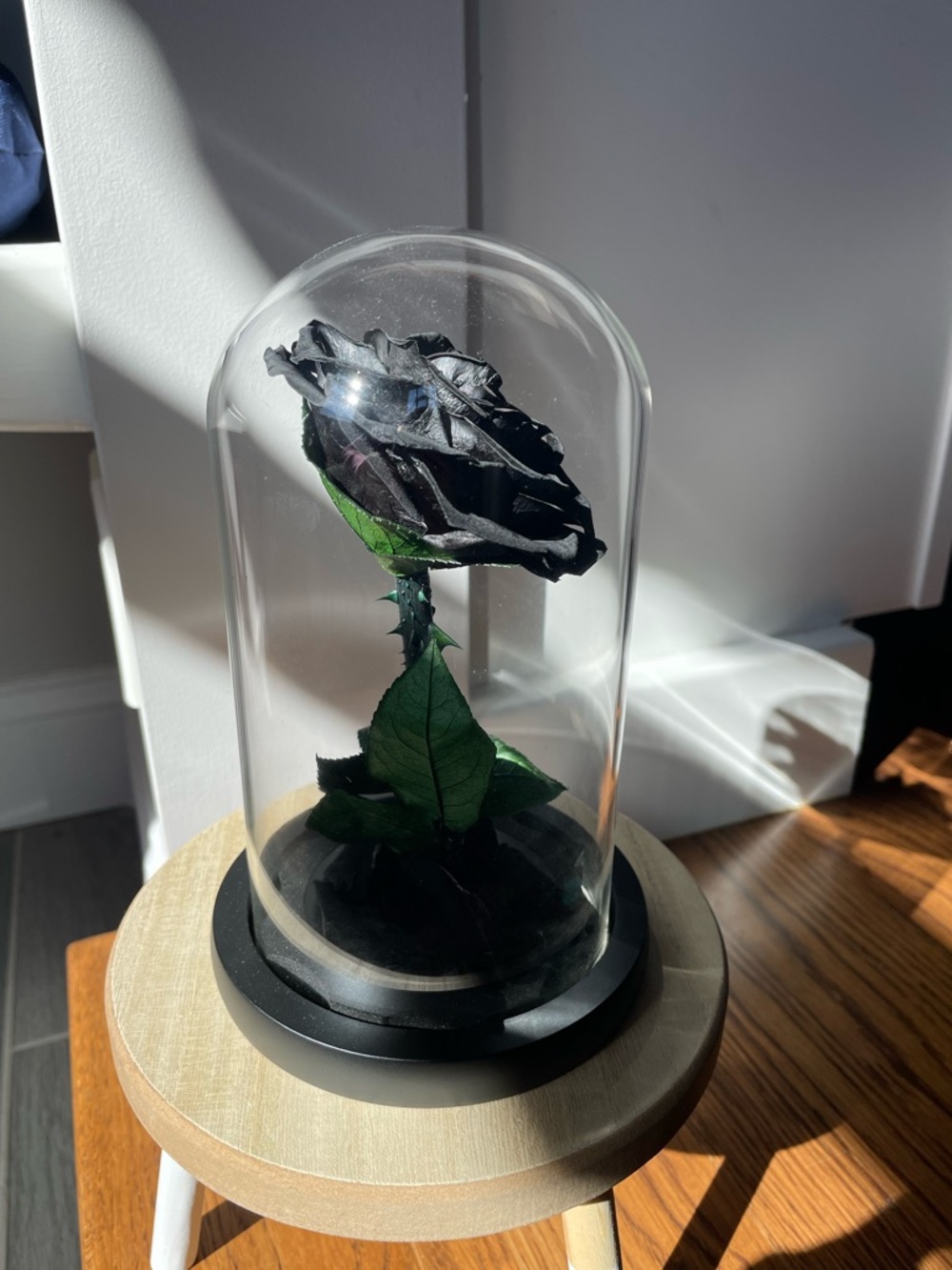 NATROSES Handmade Preserved Black Rose in Glass Dome New in Box - Picture 4 of 12